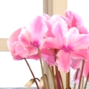 DSCN0209.JPG