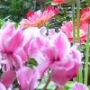DSCN0251.JPG
