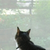 DSCN0255.JPG
