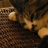DSCN0317.JPG