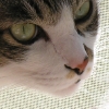 DSCN0329.JPG