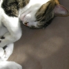 DSCN0533.JPG