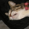DSCN0626.JPG