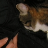 DSCN0629.JPG
