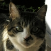 DSCN0647.JPG