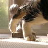 DSCN0733.JPG