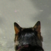 DSCN0740.JPG