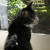 DSCN0812.JPG