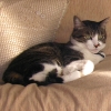 DSCN1188.JPG