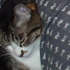 DSC04442.JPG
