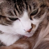 DSC04617.JPG