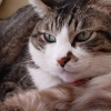 DSC04618.JPG