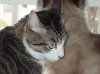 DSC00248.JPG