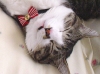 DSC02759.JPG