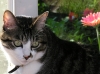 DSCN0034.JPG