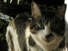 DSCN0647.JPG