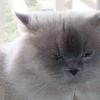 DSC00009.JPG