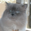 DSC00084.JPG