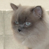 DSC00095.JPG