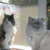 DSC00086.JPG
