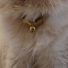 DSC00165.JPG