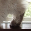 DSC00253.JPG