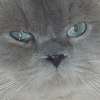DSC00392.JPG