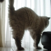 DSC00790.JPG