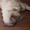 DSC00847.JPG
