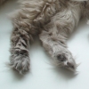 DSC01163.JPG