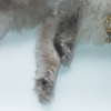 DSC01164.JPG