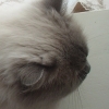 DSC01632.JPG