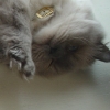 DSC01696.JPG