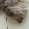 DSC01698.JPG