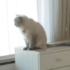 DSC01796.JPG