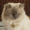 DSC01930.JPG