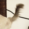 DSC01929.JPG