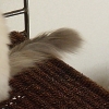 DSC01928.JPG
