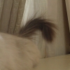 DSC01953.JPG
