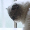 DSC01960.JPG