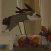 DSC01961.JPG
