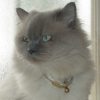 DSC01977.JPG