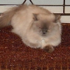 DSC02016_1.JPG