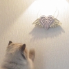 DSC02065.JPG