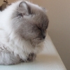 DSC02123.JPG
