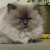 DSC02231_1.JPG