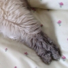 DSC02298.JPG