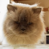 DSC02472.JPG