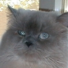 DSC00084.JPG
