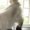 DSC00253.JPG
